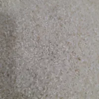 نیم دانه فجر سوزنی