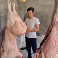 کیفیت را با تجربه کنید دامدار نمونه تهران