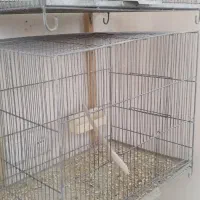 قفس پرنده،لانه،لونه،|لوازم جانبی حیوانات|قم, شهرک مهدیه (مدرس)|دیوار