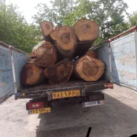 خریدار انواع درخت و چوب|خدمات باغبانی و درختکاری|سنندج, |دیوار