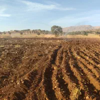 اجاره زمین کشاورزی|اجارهٔ دفتر صنعتی، کشاورزی، تجاری|شاهیوند, |دیوار