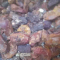 خرما کده خوراک دام