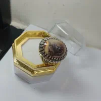 انگشتر شجر قائن