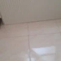 یک عدد رادیاتور