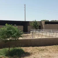 دامداری پرواری با سند ۶ دانگ  پروانه ۱۲۰ راسی|فروش دفتر صنعتی، کشاورزی، تجاری|ورامین, ورامین|دیوار