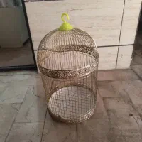 فروش قفس