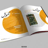 گرافیست و طراح