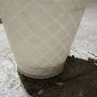 چند عدد گلدان|گل و گیاه طبیعی|تهران, دولتخواه شمالی|دیوار