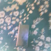 یک عدد گوشی گمشده