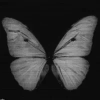 فروش تعدادی کت مانتو تمیز