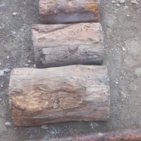 وسایل چوبی دو تار