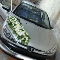 ۲۰۶ اس دی تیوفایو پنوماتیک تمیز و بدون خرج