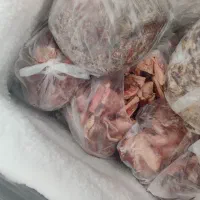 گوشت منجمد مخصوص حیوانات