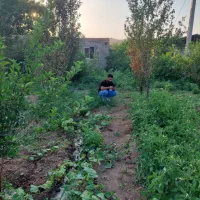 ۲۰۰متر زمین باغی مسکونی