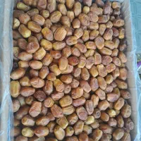 آبغوره گیری و سبزیجات آماده اسفندیاری|خوردنی و آشامیدنی|تربت‌حیدریه, بازار|دیوار