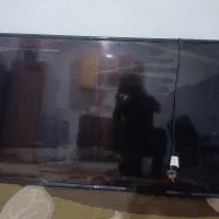 ال سیدی ۵۵انیچ ال جی