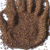 کنجدمحلی قهوه ای درجه یک