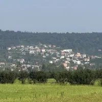 ۲۶۰۰ متر زمین کشاورزی در بابلکنار|فروش دفتر صنعتی، کشاورزی، تجاری|بابل, |دیوار