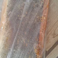 عسل طبیعی اویش وگون از دامنه سبلان