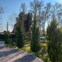 ۱۰۰۰۰متر زمین/هکتاری/تهاتر/سندتکبرگ کردان تهراندشت|فروش زمین و ملک کلنگی|کرج, فاز ۲ مهرشهر|دیوار
