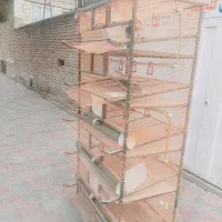 قفس بلدرچین