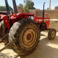 تراکتورفرگوسن ۸۱