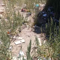 زمین چشمه خانی|فروش زمین و ملک کلنگی|نورآباد, |دیوار