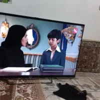 تلویزیون سونی ۵۵ اینچ