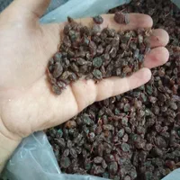 مرکز پخش کشمش آفتابی و شیره|عمده‌فروشی|رشت, کوی عرفان|دیوار