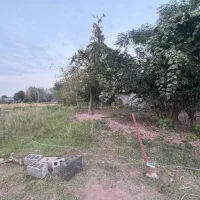 زمین مسکونی ۲۶۴متری/نامه بنیاد/محدوده کوچصفهان|فروش زمین و ملک کلنگی|کوچصفهان, |دیوار