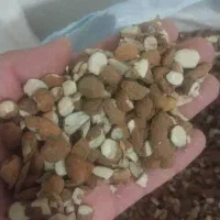 آلبالو خشک برگه زردآلوکشمش مویز چای سبز تناژ دارم