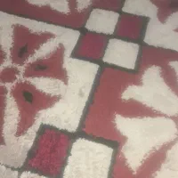 قالی ریشه دار۶متری