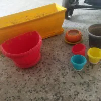 گلدان|گل و گیاه طبیعی|شیراز, آزادگان|دیوار