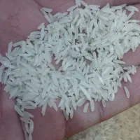 برنج گیلان|خوردنی و آشامیدنی|میانه, |دیوار