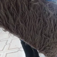 خز دوچرخه