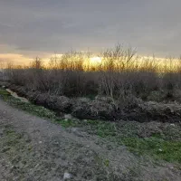 زمین باغی ....