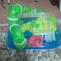 قفس جزیره همستر