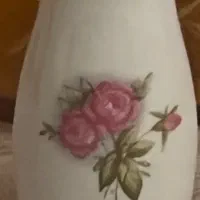 نمکپاش گلسرخی