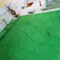 چمن و سایبان