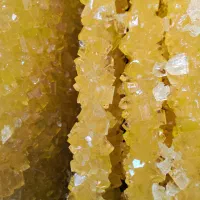 استخدام در نبات سازی.استخدام.نبات
