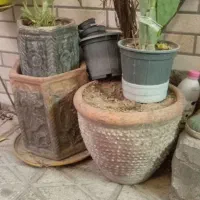 گلدان بزرگ سفالی