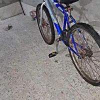 دوچرخه ۲۴|دوچرخه، اسکیت، اسکوتر|جیرفت, |دیوار