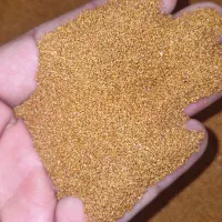 فروش خاکشیر محلی بوجاری شده تمیز..