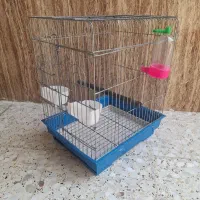 قفس پرنده