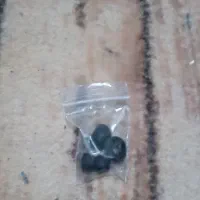 هندزفری دور گردنی|لوازم جانبی موبایل و تبلت|مشهد, توس (بلوار توس)|دیوار