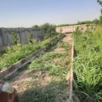 باغچه 700متری قابل معاوضه|فروش دفتر صنعتی، کشاورزی، تجاری|باغستان, |دیوار