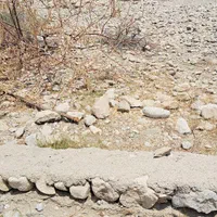 زمین مسکونی تازیان محمد اباد|فروش زمین و ملک کلنگی|بندرعباس, |دیوار