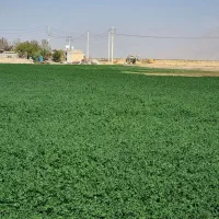 زمین کشاورزی با چاه عمیق مرودشت روستای اسفدران