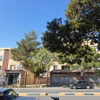 اپارتمان-هم-کف-تک-خوابه