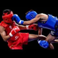 اموزش هنر رزمی ووشو